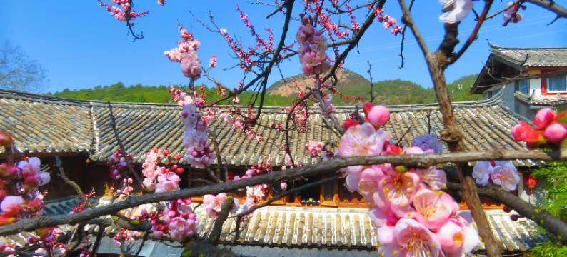 古城边半山9号德一居图片