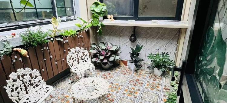 上海猫猫民宿图片