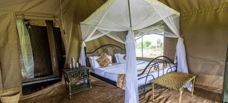 塞伦盖蒂野外露营地(Serengeti Wild Camp)图片