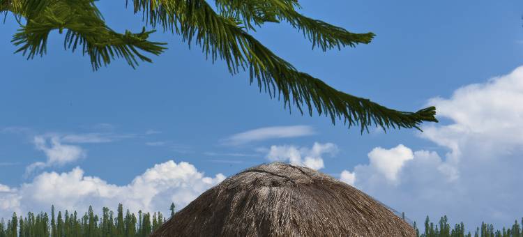 艾尔德宾斯艾美酒店(Le Méridien Ile des Pins)图片