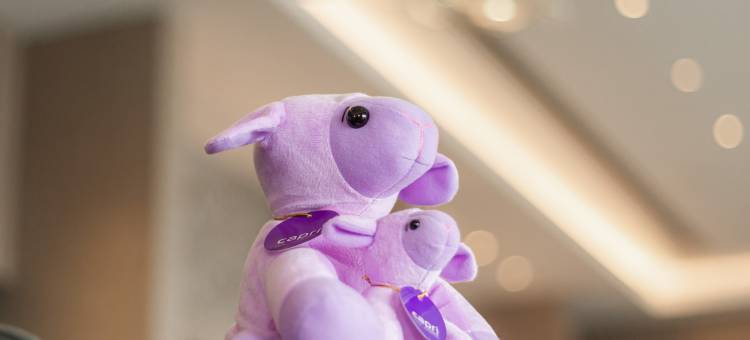 新山凯贝丽酒店式服务公寓(Capri by Fraser Johor Bahru)图片