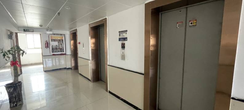 温州市唐吉诃德青年旅舍图片