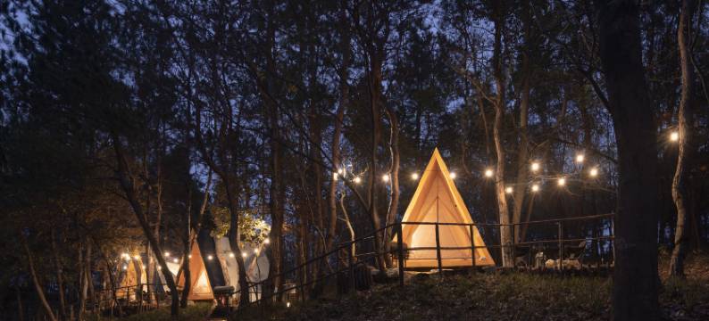 泊心域·牧星营地图片