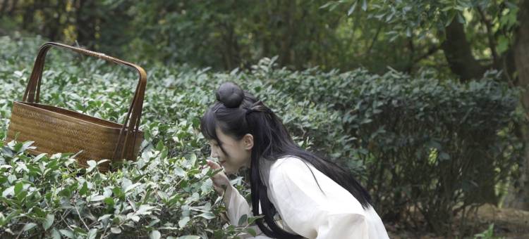 泉州茗山清源茶院图片
