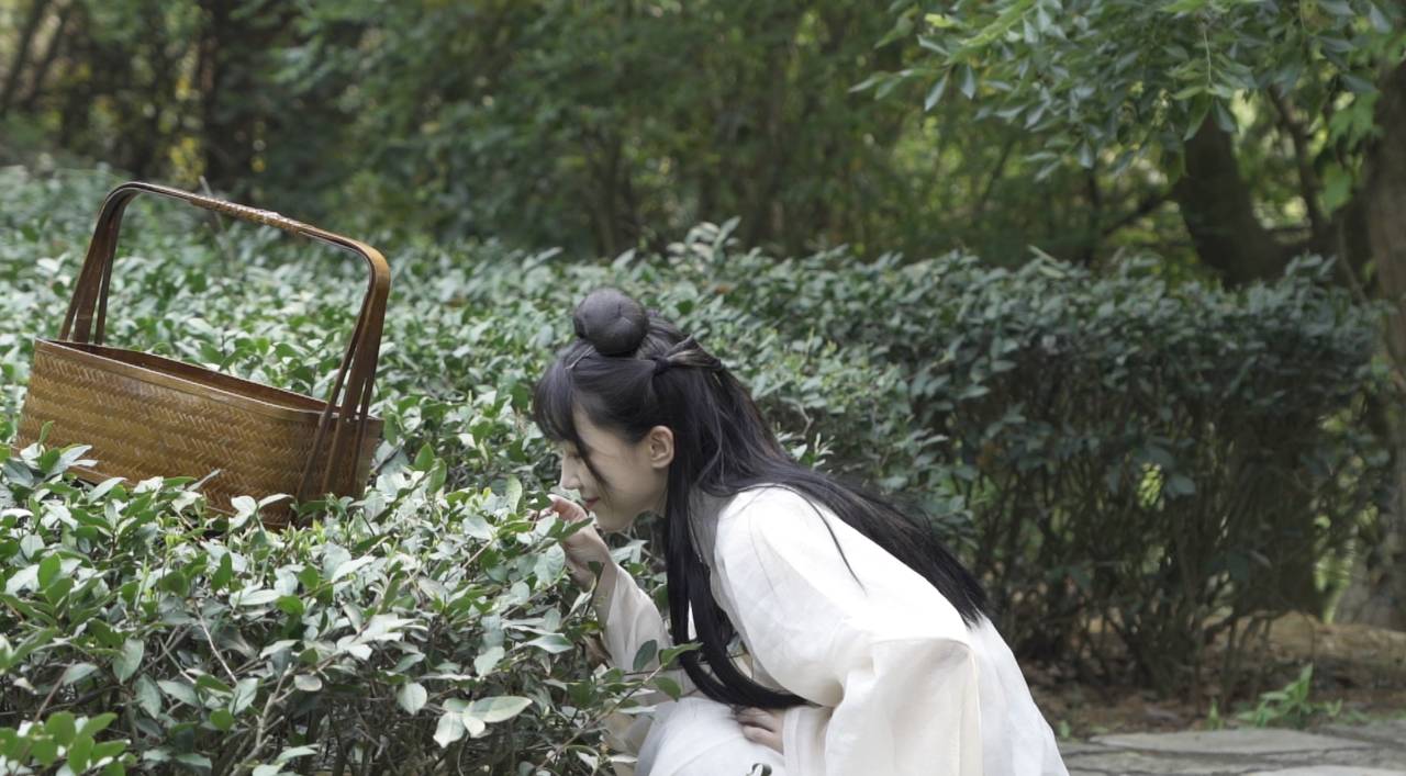 泉州茗山清源茶院图片
