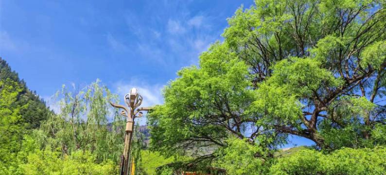 九寨沟圆梦假日酒店(九寨沟景区店)图片