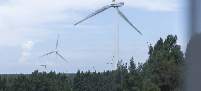 平潭溪林海宿图片