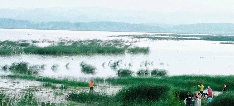 漫庭世嘉轻奢酒店(威宁县滨海大道店)图片