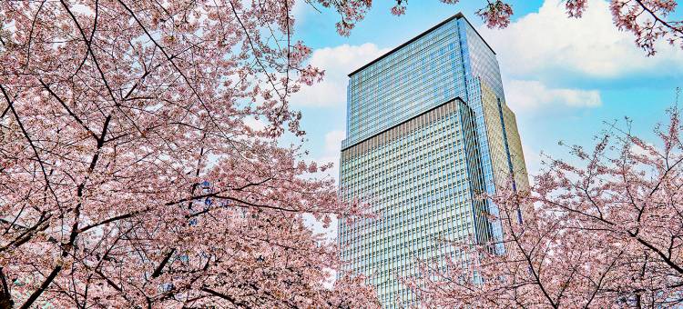 东京文华东方酒店(Mandarin Oriental, Tokyo)图片