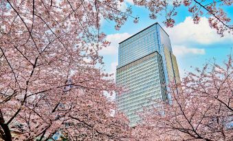 Mandarin Oriental Tokyo Over view