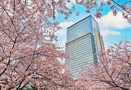 Mandarin Oriental Tokyo Hotel Overview