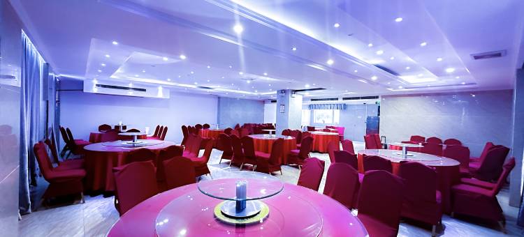 新县金鑫大酒店(新县人民政府店)图片