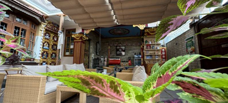 歇尔帕家庭旅馆(Sherpa Home Hotel)图片