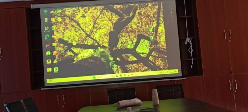 石台荣府大酒店图片