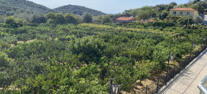 公主瓦尔达诺斯公寓(Apartments PRINCESS Valdanos)图片