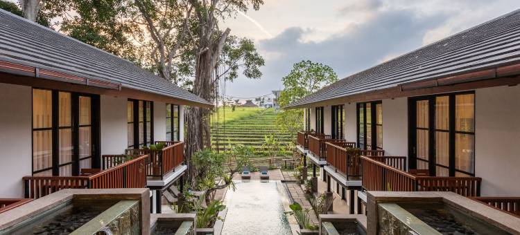 帕里帕迪工作室，查古(Paripadi Studio Canggu)图片