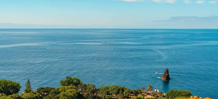 拉加马德拉穆图酒店(Muthu Raga Madeira Hotel)图片