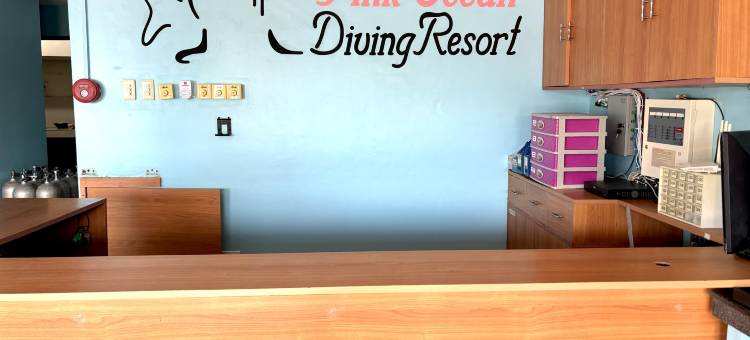粉红海洋潜水度假村(Pink Ocean Diving Resort Sabang Puerto Galera)图片