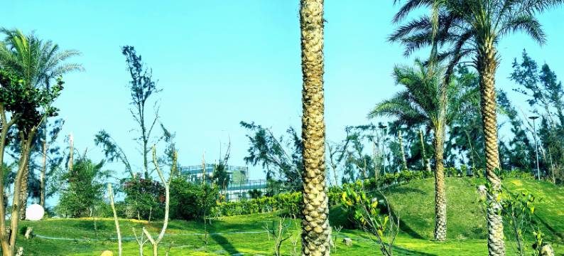 徐闻瞐喆小镇民宿(中国大陆南极村店)图片