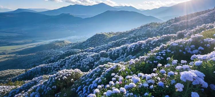 黔花之筑·巨幕轻奢花海酒店(黔西高铁站步行街店)图片