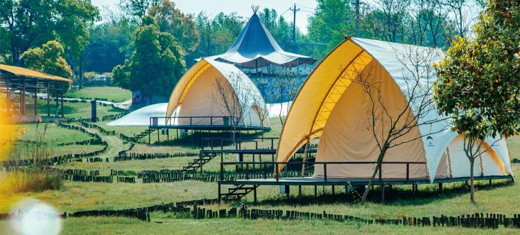 半岛计划SoulH图片