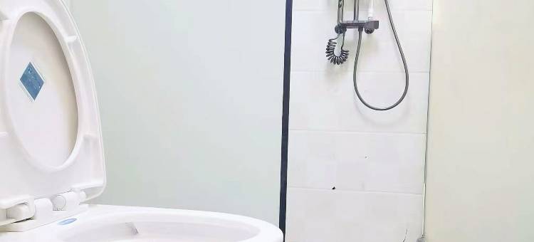 麦积山木子李民宿图片