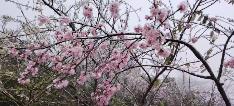 融水宏泰宾馆(滚贝侗族乡店)图片