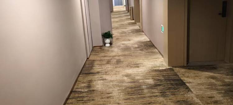 维加斯国际酒店(人民广场店)图片