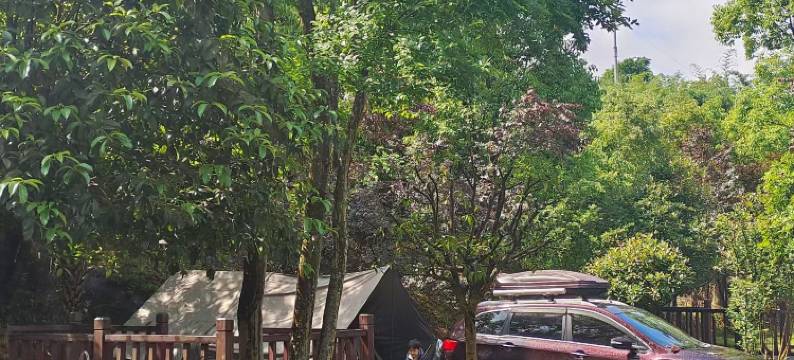 赤水张家湾汽车露营地图片