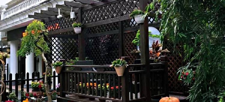 临澧天鹅湖国际大酒店图片