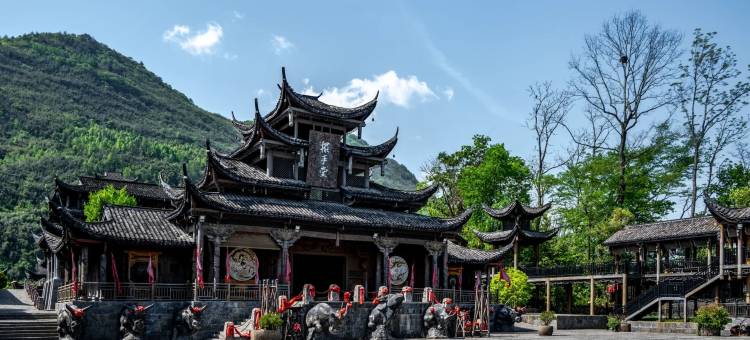 龙山世纪百年大酒店图片