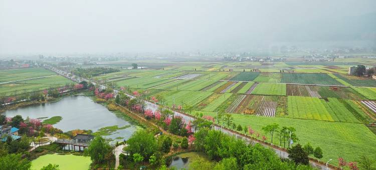姚安嘉元酒店图片