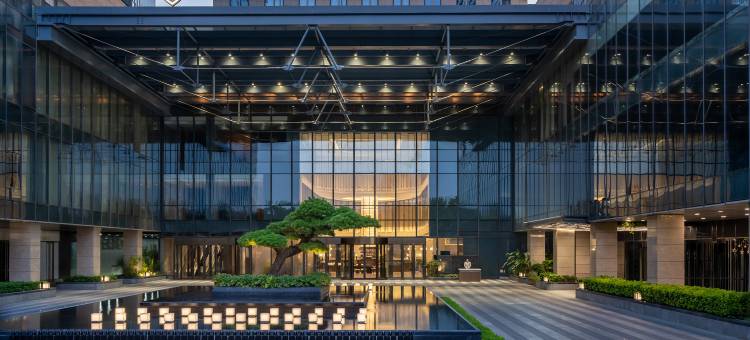 郑州郑东洲际酒店图片