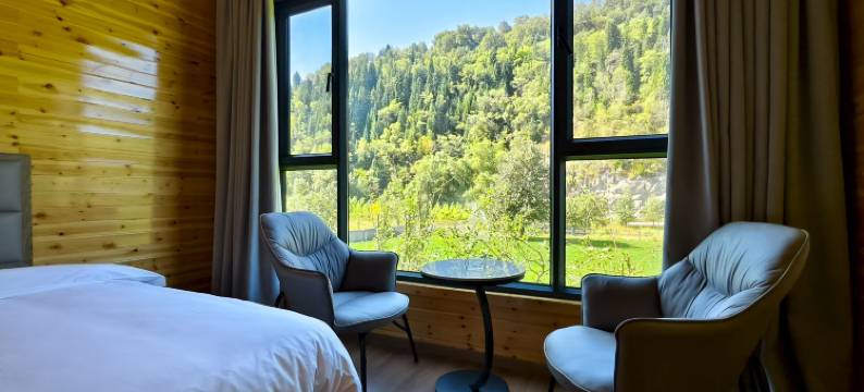 尼勒克蜂巢印象民宿图片