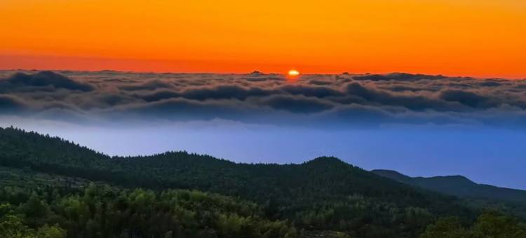 山中無事民宿(武功山店)图片