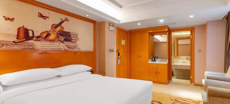 维也纳酒店(潮州潮安中心店)图片