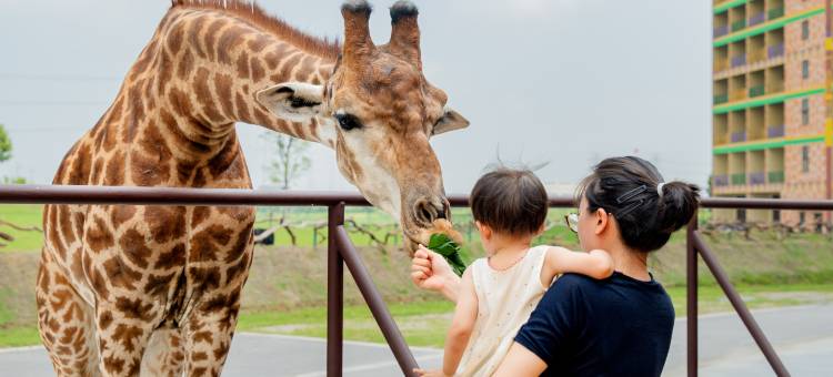 森迪酒店(南通森林野生动物园店)图片