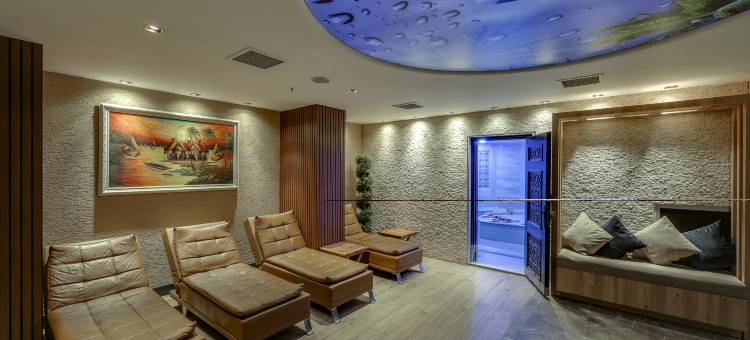 伊斯坦布尔老城华美达酒店(Ramada by Wyndham Istanbul Old City)图片