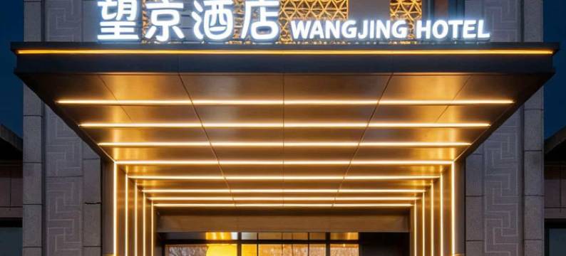 望京酒店(乌鲁木齐国际机场德港万达店)图片