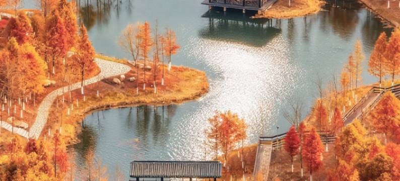 维也纳国际酒店(盐城宝龙广场迎宾路店)图片