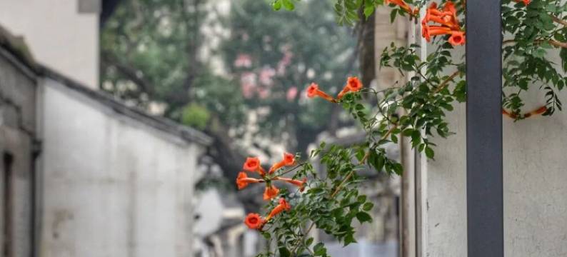 维也纳智好酒店(无锡南长街南禅寺店)图片