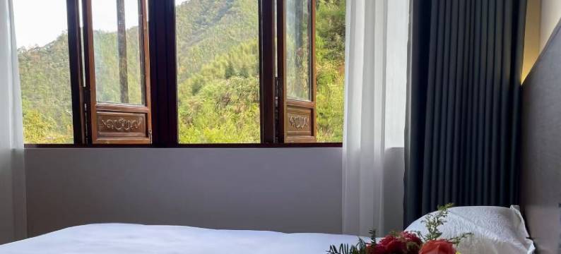 松阳树夏名宿图片