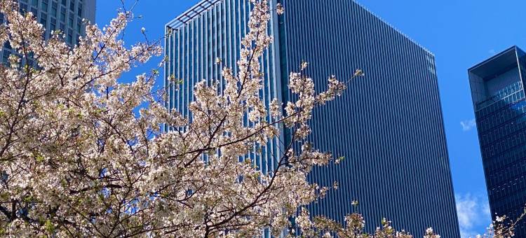 名古屋JR门楼酒店(JR东海酒店集团)(Nagoya JR Gate Tower Hotel (JR-Central Hotels))图片