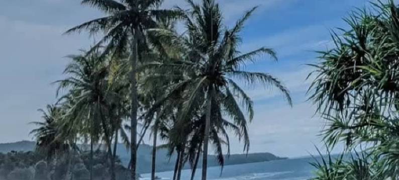 Shasyariah Homestay Krui图片