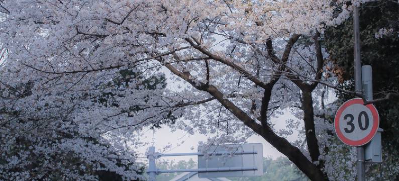 AMIX安迷酒店(黄鹤楼长江大桥店)图片