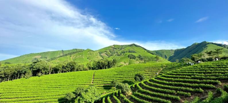 云上陈墅民宿(安吉云上草原游客中心店)图片