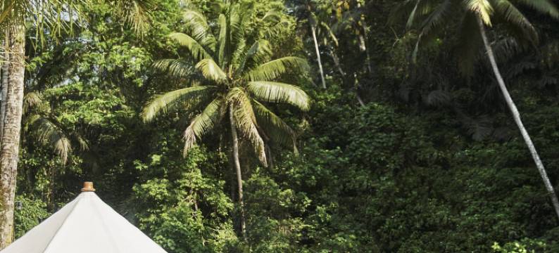 巴厘岛乌布山妍四季度假酒店(Four Seasons Resort Bali at Sayan)图片