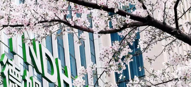 武汉汉口温德姆花园酒店图片