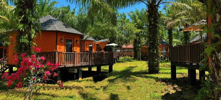 薄荷度假村(中文管家服务+免费酒店往返镇上/码头班车)(PUDINA RESORT)图片