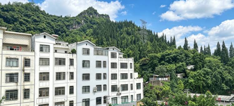 青山·树下高端城市民宿(兴义万峰林机场高铁南站店)图片